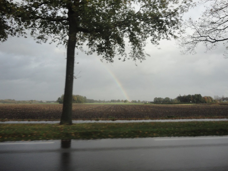 Een regenboog