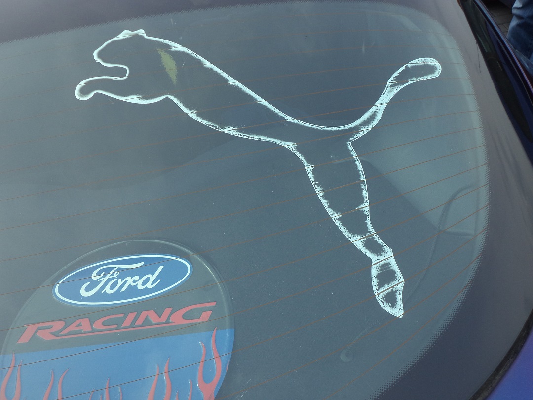 Ford Racing Puma