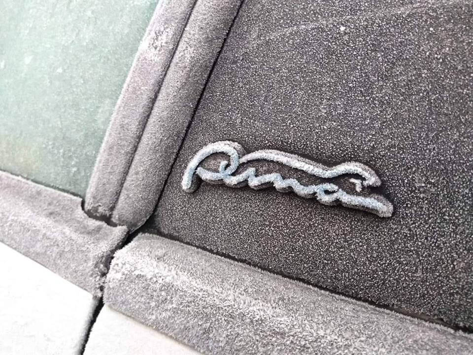 48380861_2228191390762402_9149991919307194368_n